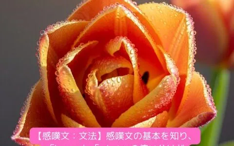 【感嘆文：文法】感嘆文の基本を知り、「how」と「what」の使い分けができるようにしよう！（練習問題・名言付き）