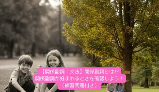 【関係副詞：文法】関係副詞とは⁉関係副詞が好まれるときを確認しよう！（練習問題付き）