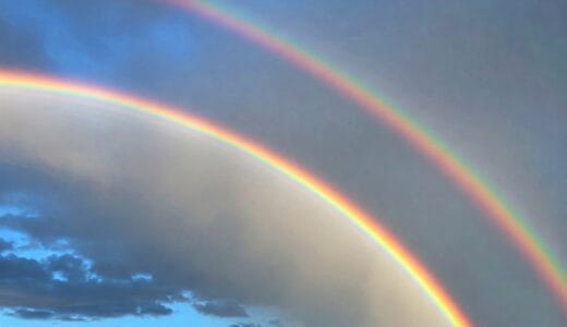 【never：倒置】