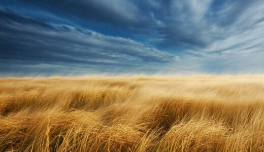 【wind：名詞・動詞】